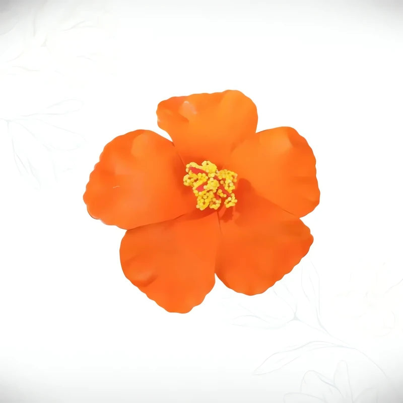 Barrette Fleur Hibiscus Cheveux Essence Bohème