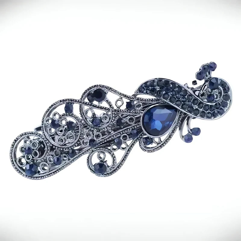 Barrette Cheveux Chic