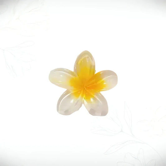 Fleur Barrette Cheveux Parure Végétale