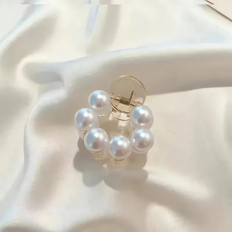 Pince Bijoux Pour Cheveux 2